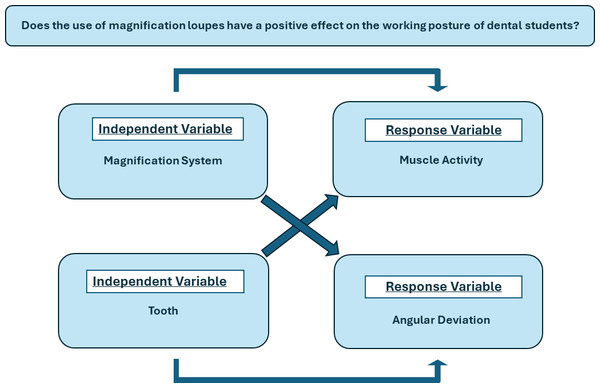 Conceptual framework.