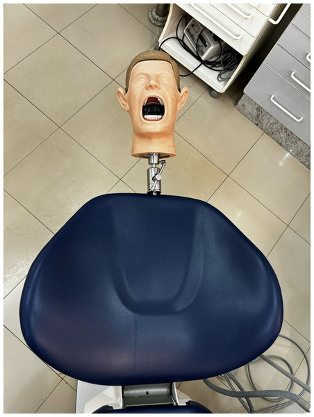 Dental mannequin with the phantom head.