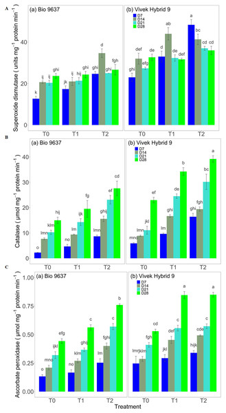 Effect of pre-anthesis foliar application of 24-epibrassinolide (EBR) on the specific activity of superoxide dismutase (units mg−1 protein min−1) (A), catalase (µmol mg−1 protein min−1) (B), and ascorbate peroxidase (µmol mg−1 protein min−1) (C) in two maize hybrids under flowering stage drought stress.