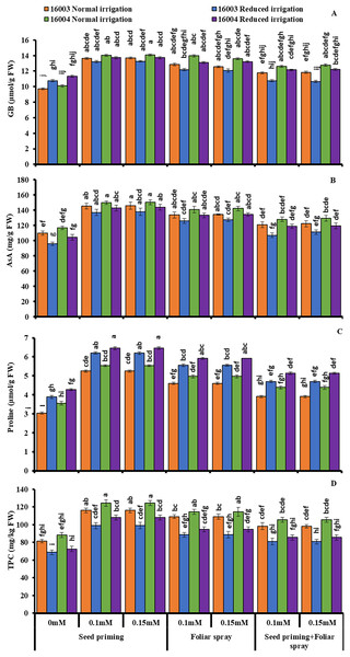 Glycine betaine, AsA, proline, TPC of differentially drought tolerant mungbean genotypes fertigated with different levels of ALA through different modes when grown under normal irrigation and reduced irrigation.