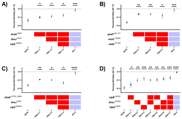 Heat tolerance comparisons between mutant L. pneumophila strains constructed with evolutionarily-fixed mutations in isolation or combination.