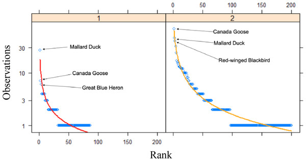 Rank curves for species between time periods.