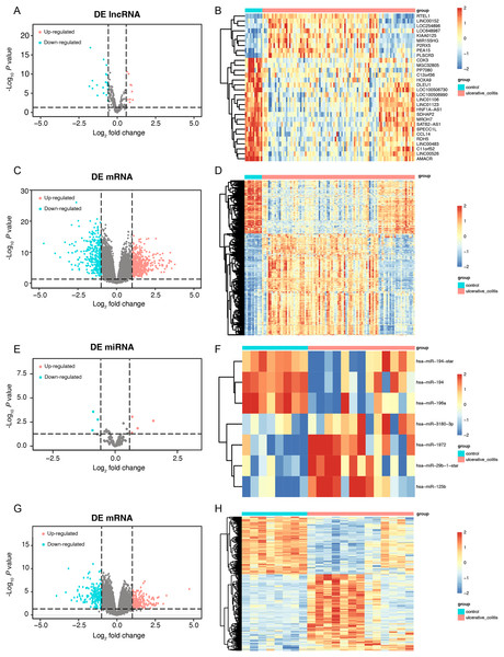 The data integration and analysis for lncRNA/mRNA and miRNA/mRNA association pairs.