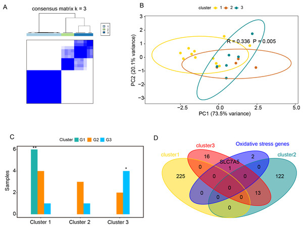 Relationships between oxidative stress genes and glucocorticoid resistance in active UC.