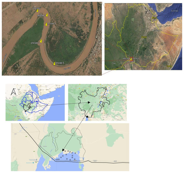 Sampling locations along the Omo river based on GPS readings.