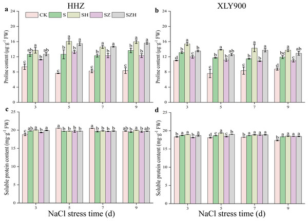 Effect of Hemin on osmoregulatory substances of rice seedlings under NaCl stress.