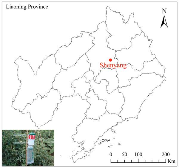 Map of the position of Shengyang and sex pheromone traps in northern China.