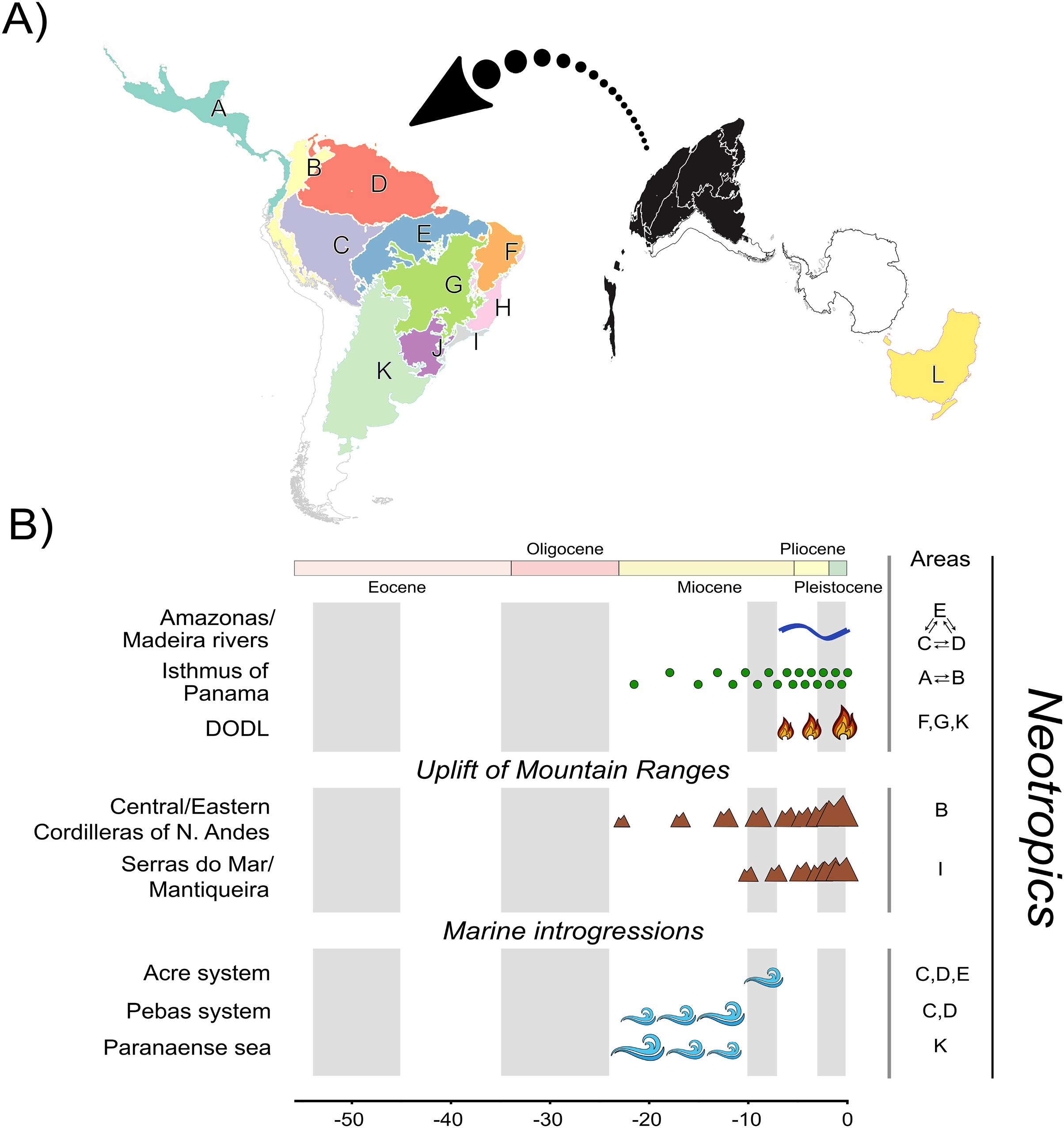 Marine introgressions and Andean uplift have driven diversification in  neotropical Monkey tree frogs (Anura, Phyllomedusinae) [PeerJ]