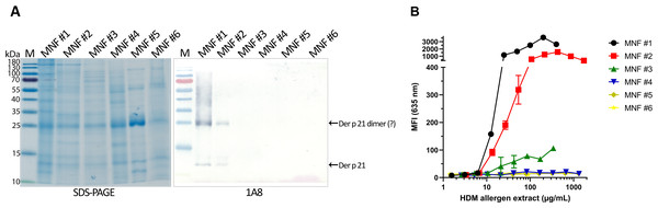 Analysis of D. pteronyssinus allergen extracts from different manufacturers.