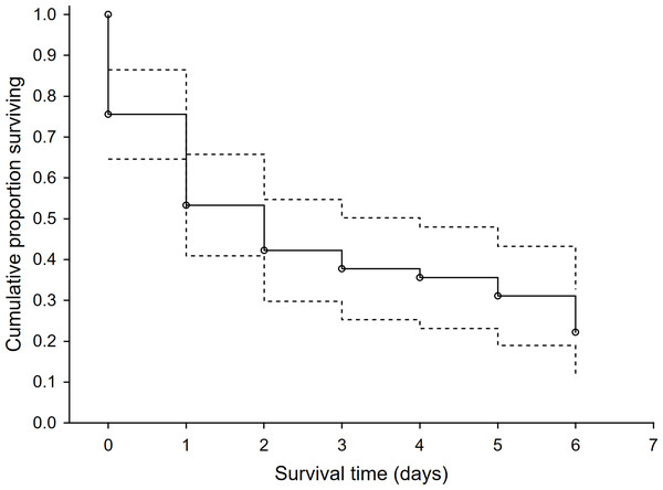 The survival rate function for exposed hare dummies during the time after the exposure.