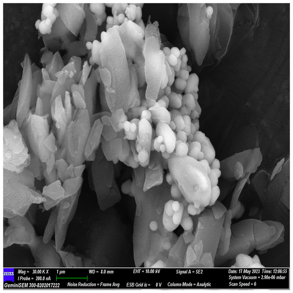 FESEM image of the material with 30× magnification.