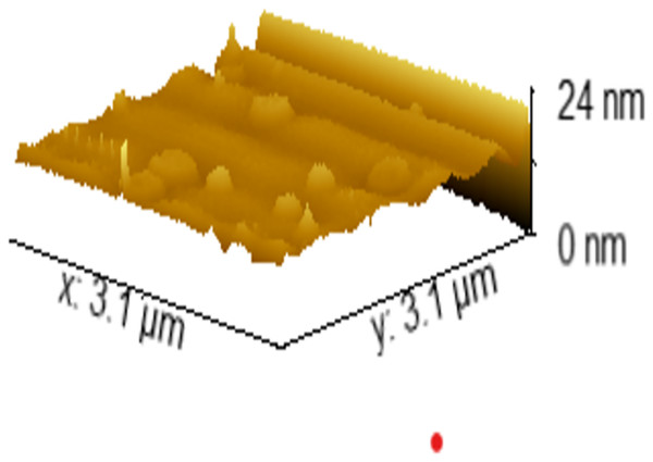 The AFM image of the sample.