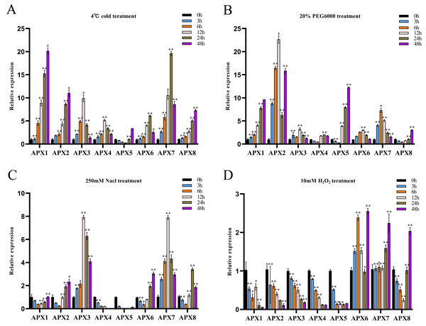 The relative expression levels of CsAPX genes were evaluated under various stress conditions: cold stress (A), drought stress (B), salt stress (C), and oxidative stress (D), at time points of 0, 3, 6, 12, 24, and 48 hours.