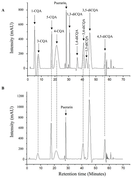 Chromatograms of (A) analytical standards and (B) yerba mate sample.
