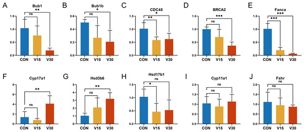 Relative expression levels of target genes in the control mice and experimental mice.