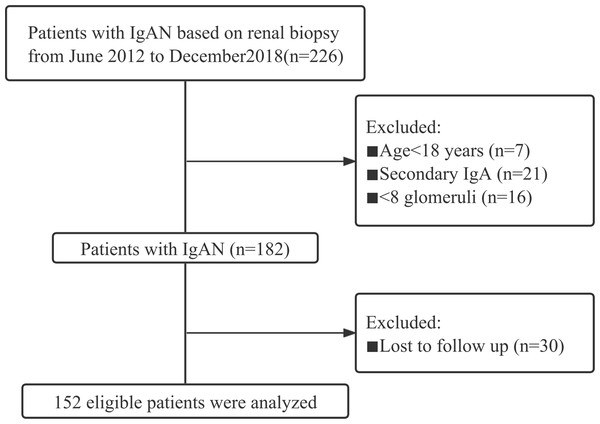 The study flow chart of the enrolment of IgAN patients.