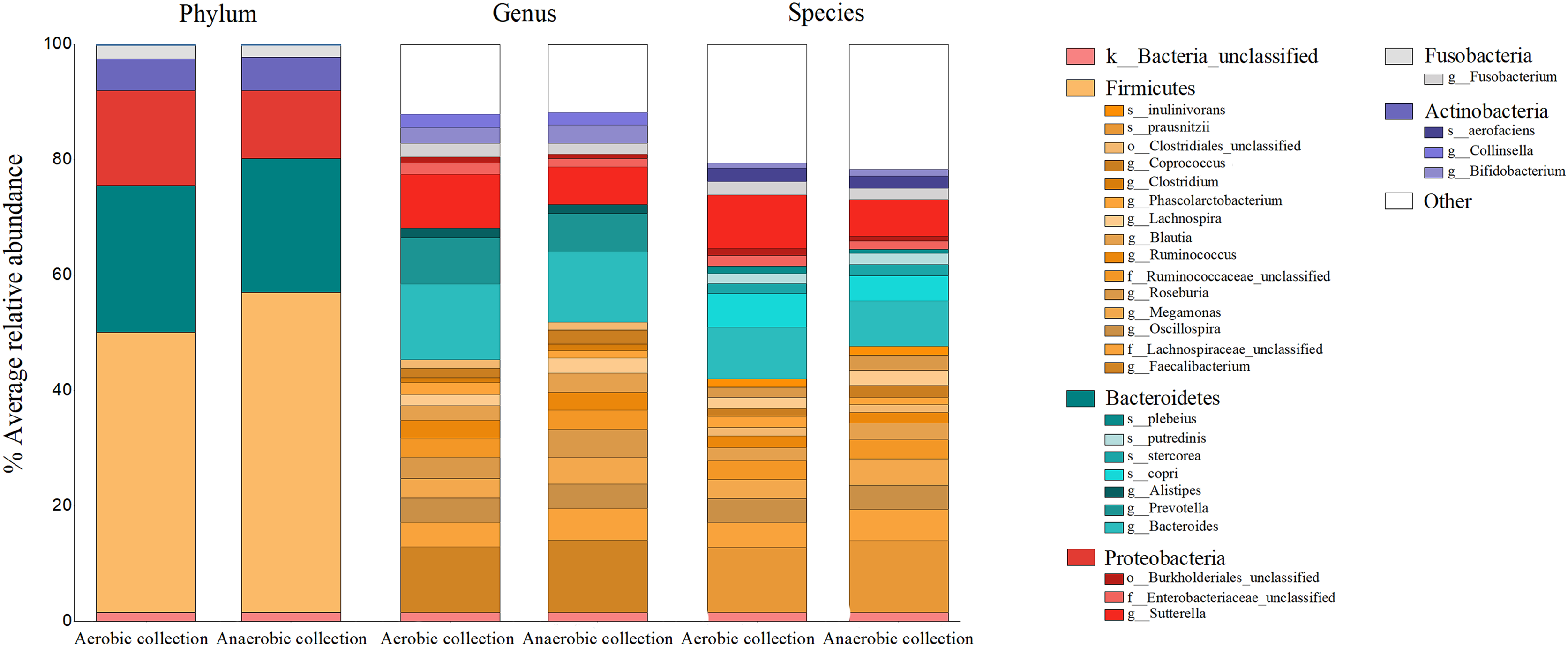 Non-significant influence between aerobic and anaerobic sample transport  materials on gut (fecal) microbiota in healthy and fat-metabolic disorder  Thai adults [PeerJ]