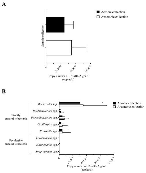 Quantification of bacterial counts for (A) average total bacterial counts and (B) average strictly anaerobic and facultative anaerobic bacterial genera, comparing between aerobic and anaerobic sample transport groups.
