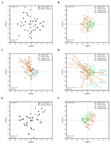Non-metric multidimensional scaling (NMDS) constructed from Thetan coefficients displaying beta diversity among quantitative microbiota communities in aspects of (A and E) aerobic and anaerobic sample transport groups and (B–D and F) health and fat-metabolic disorder (denoted “unhealthy”) groups.