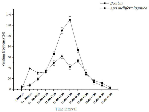 The daily change in the frequency of effective flower visits of ‘Bluecrop’ pollinators.