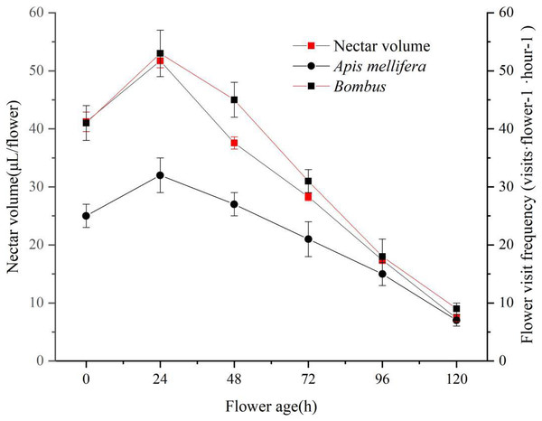 ‘Bluecrop’ nectar secretion dynamics and flower visiting frequency.