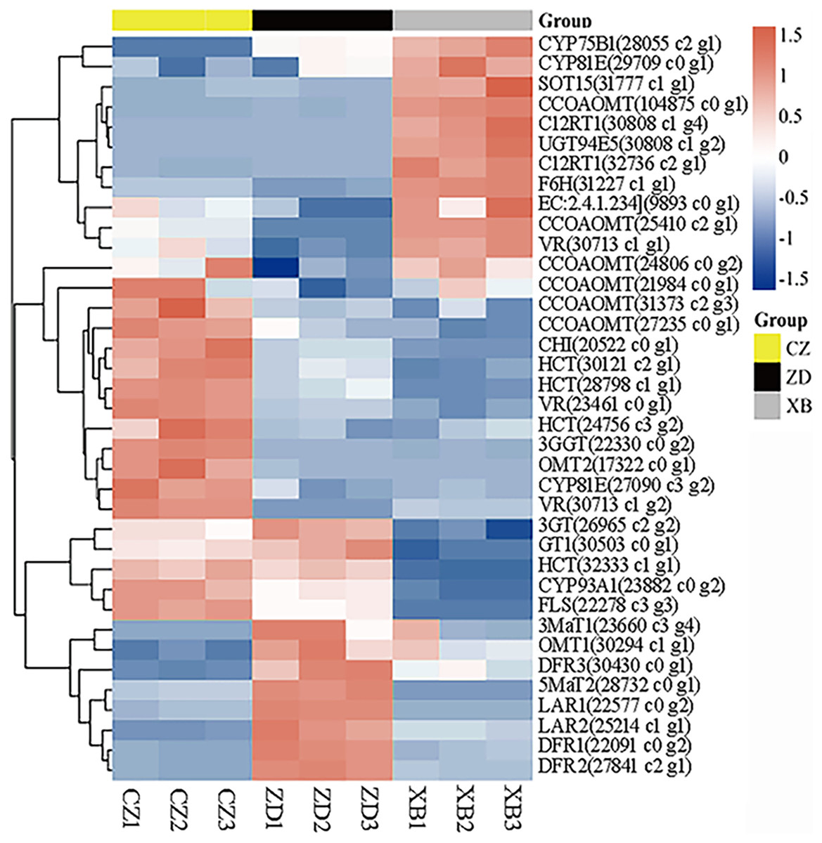 Metabolome and transcriptome integration reveals insights into petals ...