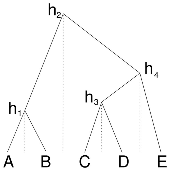 Cube over five taxa consisting of a taxon ordering A, B, C, D, E and heights h1 for the height between A and B, height h2 for the heights between B and C, h3 for C and D and height h4 for D and E.