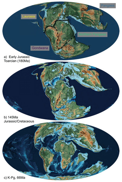 The abbreviated geographic regions in the Mesozoic.