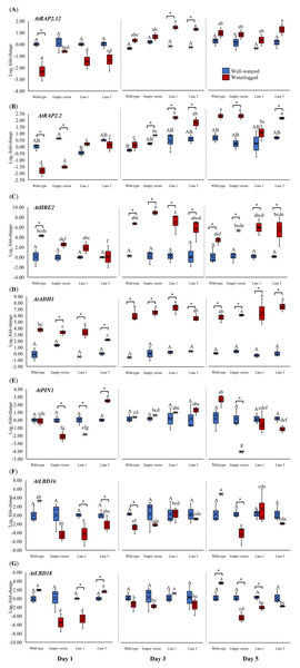 Gene expression of Arabidopsis plants for 1, 3, and 5 days of waterlogging.