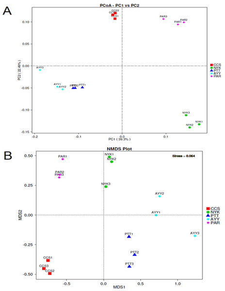 PCoA (A) and NMDS (B) analyses bacterial composition similarity among sampling sites.