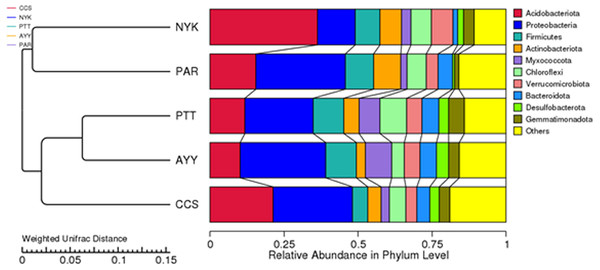 The UPGMA dendrogram of relative abundance at phylum level from each sampling site.