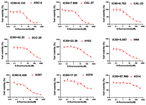 Chemosensitivity assay of 5-fluorouracil for multiple HNSCC cell lines.