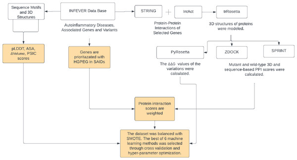 The Var3PPred workflow illustrates the systematic data acquisition and processing pipeline.