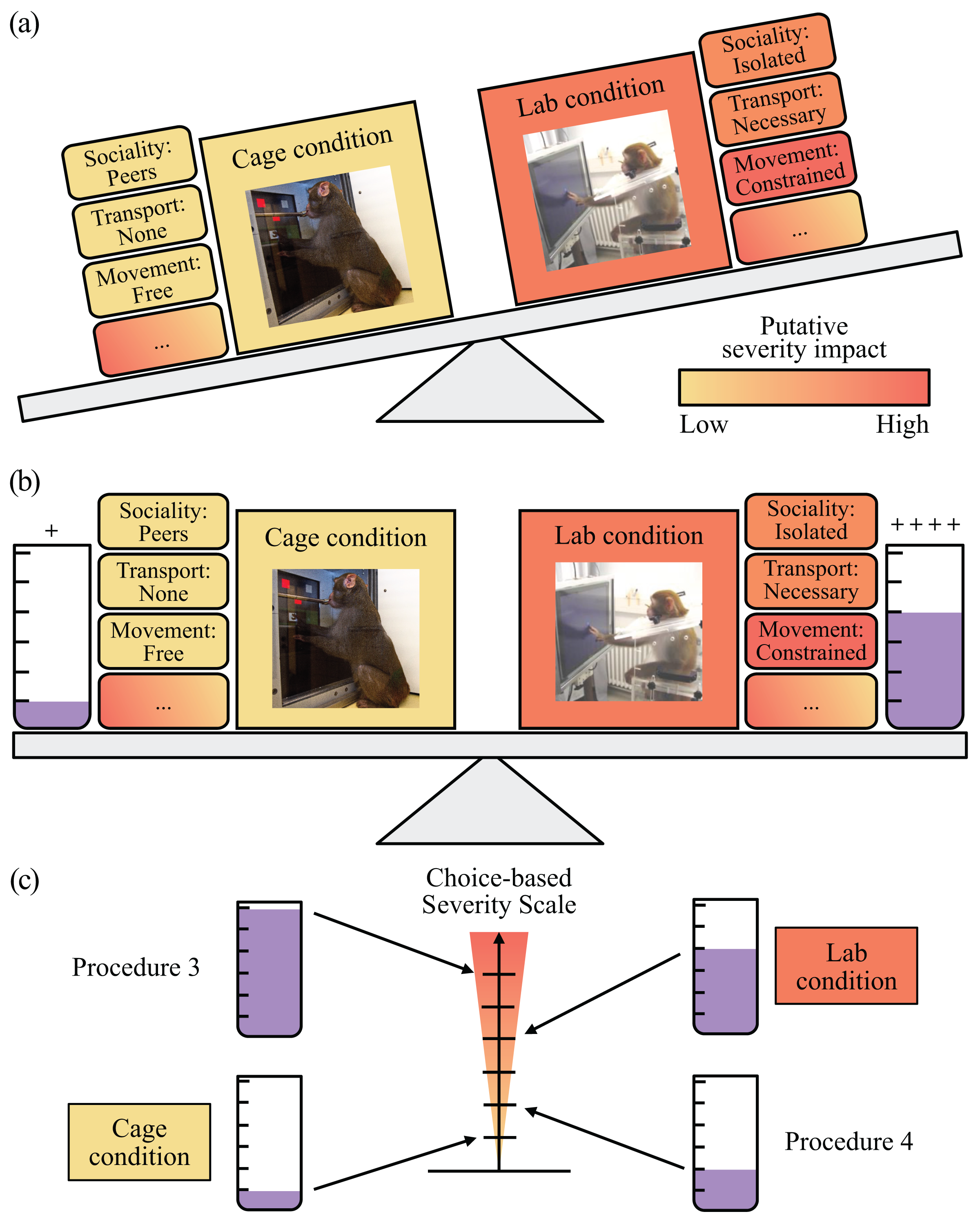 Choice-based severity scale (CSS): assessing the relative severity of ...