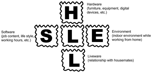 Framework of the SHEL model (modified from Hawkins, 1987).