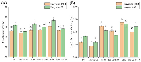 Effect of Pro-Ca priming on cell damage and membrane stability in rapeseed leaves under salt stress.