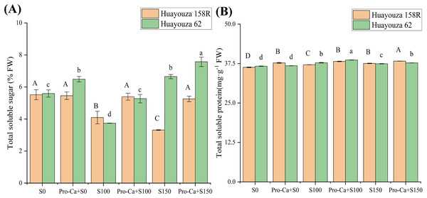 Effect of Pro-Ca triggering on osmoregulatory nodal substances in rapeseed seedlings under salt stress.