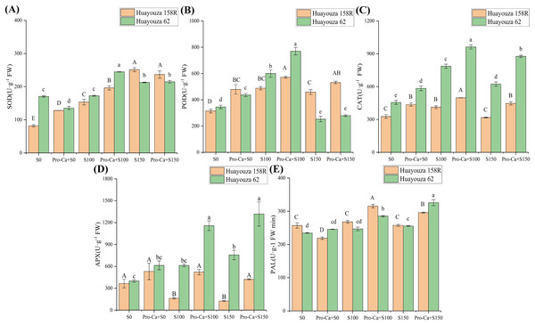 Effect of Pro-Ca priming on antioxidant enzyme activity in rapeseed seedlings under salt stress.