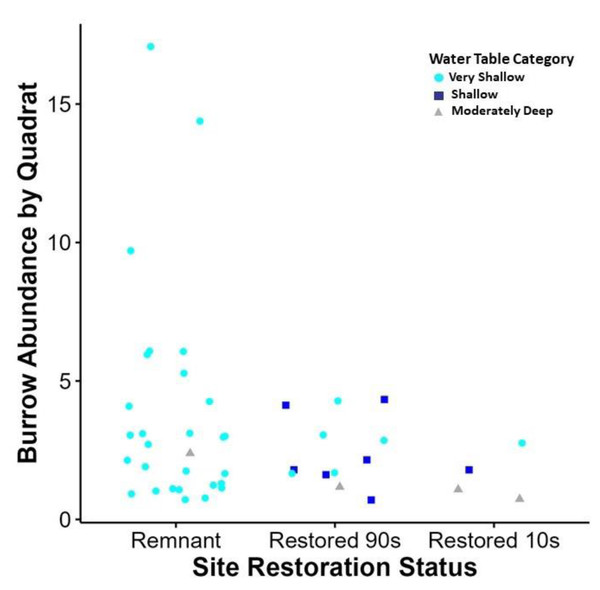 Relationship between site restoration status and burrow abundance by quadrate.
