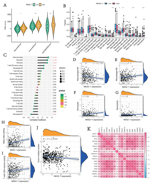 Immune infiltration analysis and tumor mutational burden of NKX2-1 expression.