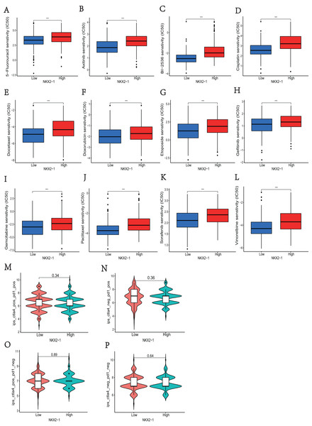 Analysis of differences in immune therapy and pharmacotherapy responsiveness in NKX2-1 high-level and low-level groups.
