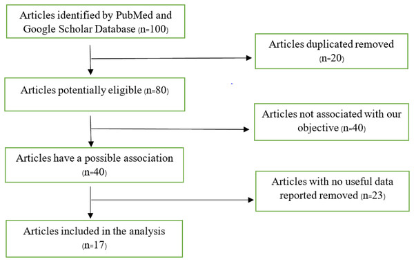 Flow chart of articles found on PubMed and Google Scholar database.