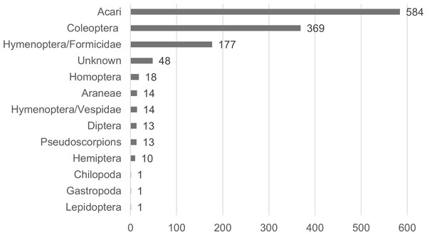 Diet of Atelopus ignescens based on feces from 27 adults found at the Angamarca River basin on May 10th, 2016.