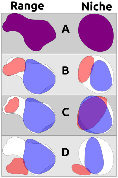 A non-exhaustive demonstration of different ways geographic range and ecological niche can evolve independently.