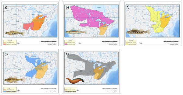 Estimated range maps for proposed models of Lampsilis fasciola lures.