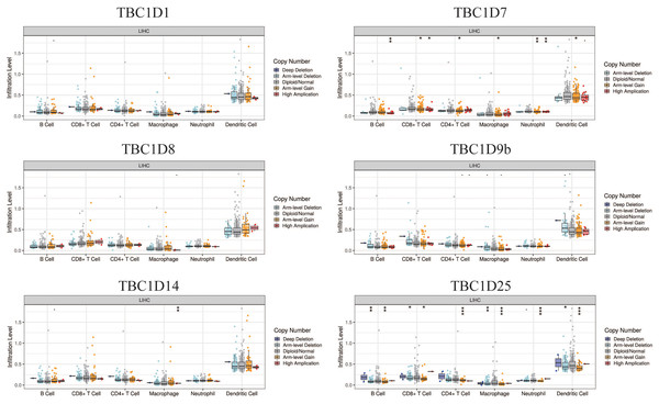 The effect of TBC1D CNVs on the infiltrating levels of B cells, CD4+ T cells, CD8+ T cells, macrophages, neutrophils and dendritic cells in HCC.
