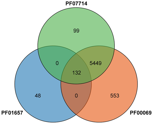 Venn diagram of the protein identified by the PFAM file involved in the conserved structural domain of the CRK protein.