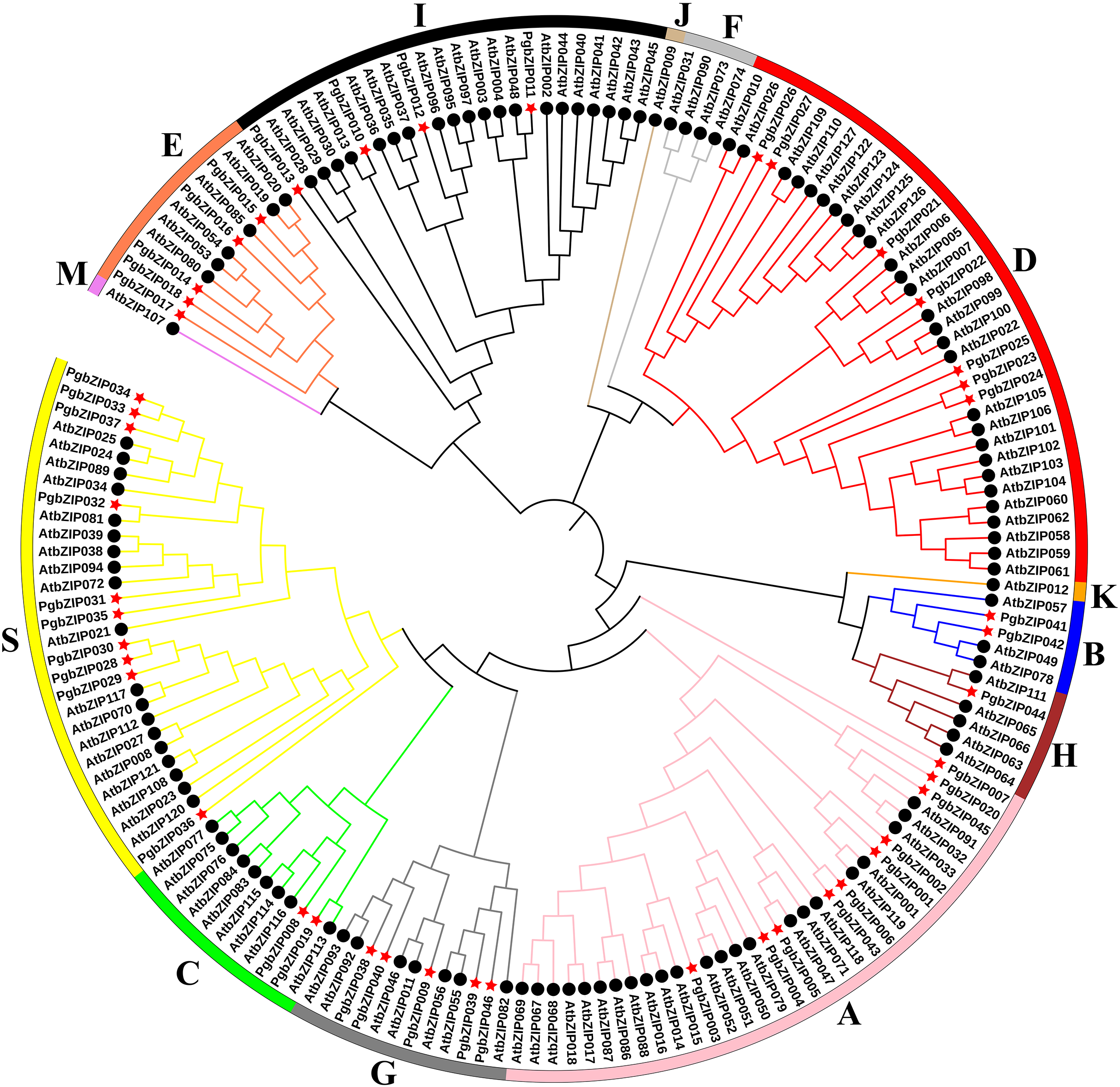 Genome-wide analysis of bZIP transcription factors and their expression ...