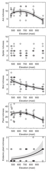 Taxon-dependent diversity response along a temperate elevation gradient ...