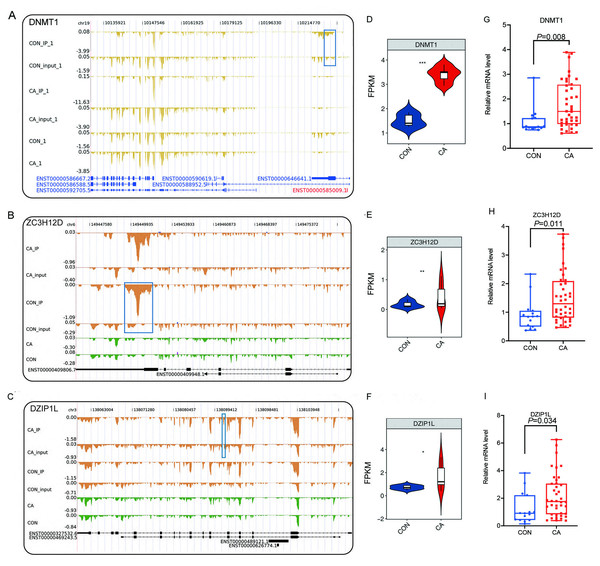 Reads density and expression of target genes.